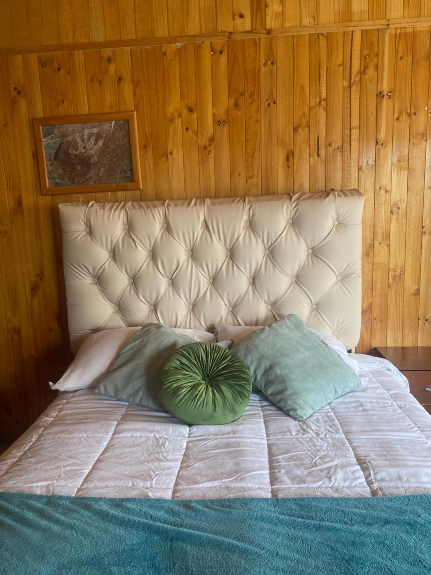 Hospedaje Cabana Y Restaurante Don Niba Villa Cerro Castillo Dış mekan fotoğraf
